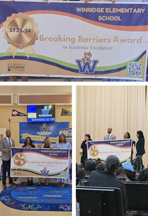 Breaking Barriers Award