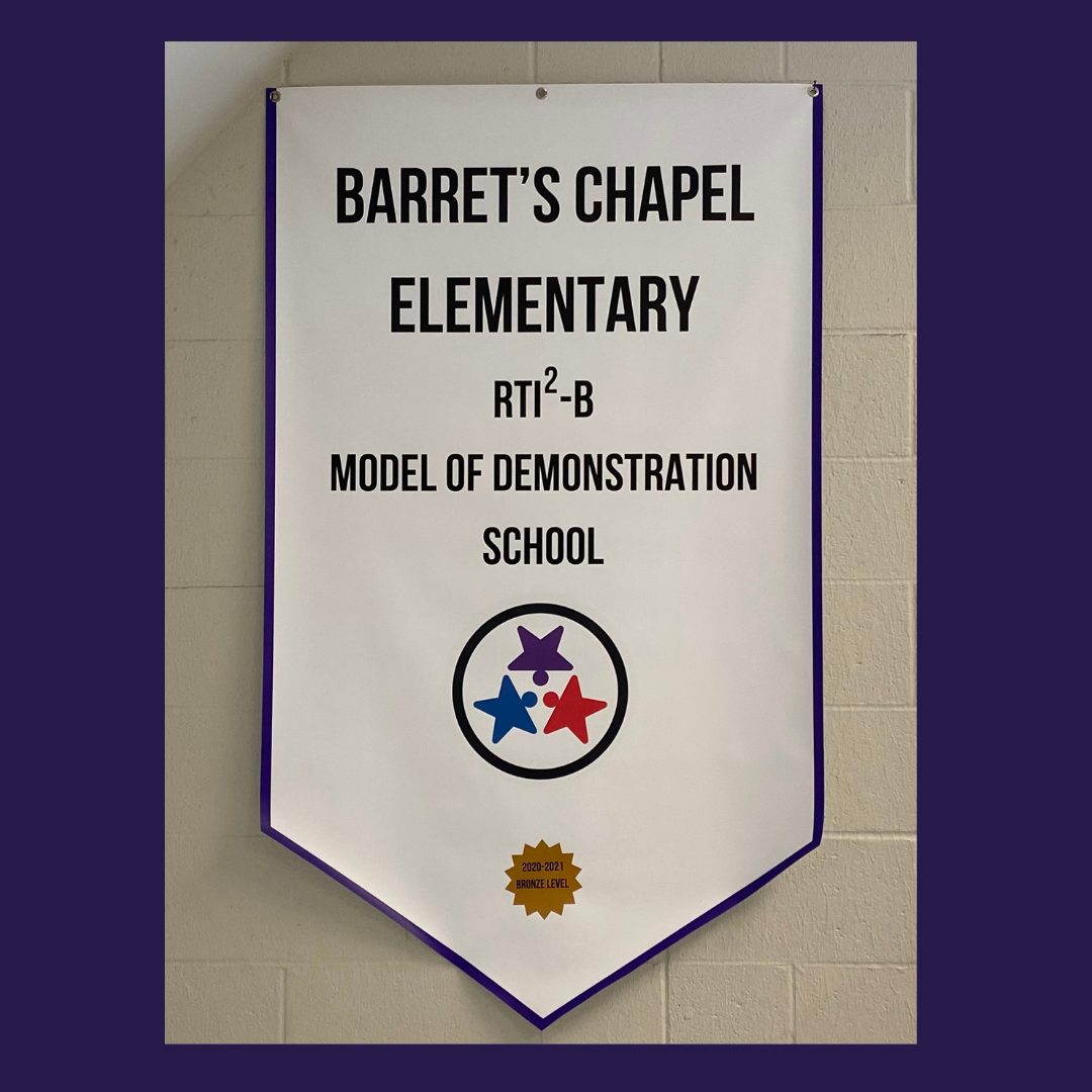 Model of demonstration banner