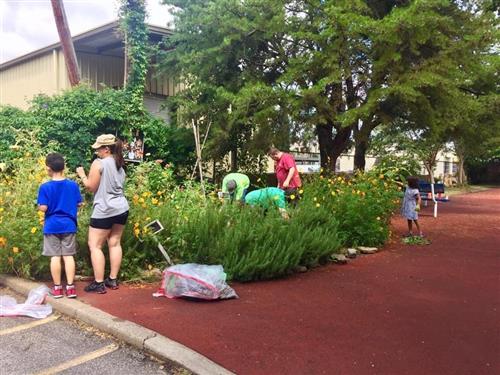 Parents, students, and teachers cleaning up the campus 