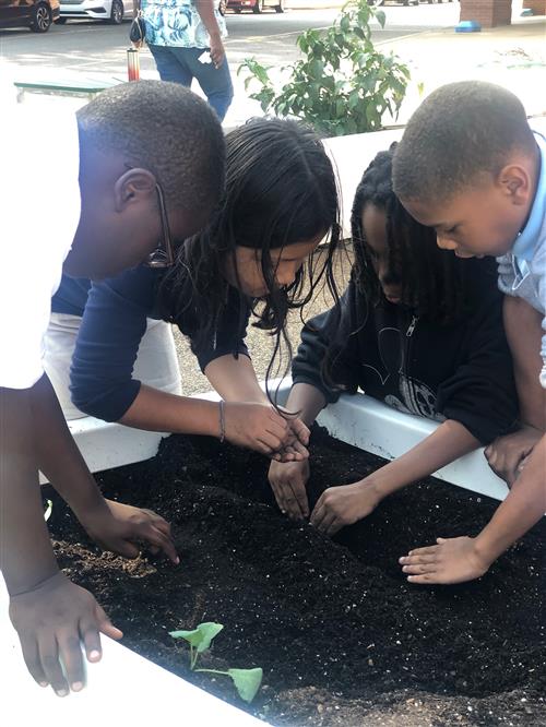 GARDEN CLUB 