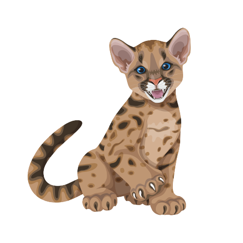 cub